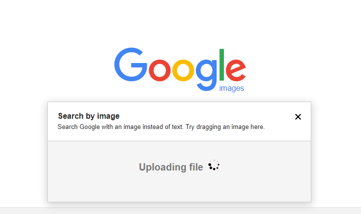 What Is Google Reverse Image Search And How To Use It Windowsable